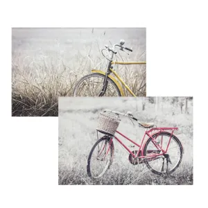 Canvas Bicycle 60x90 Printed