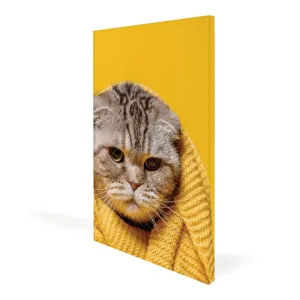 Canvas Frame Display