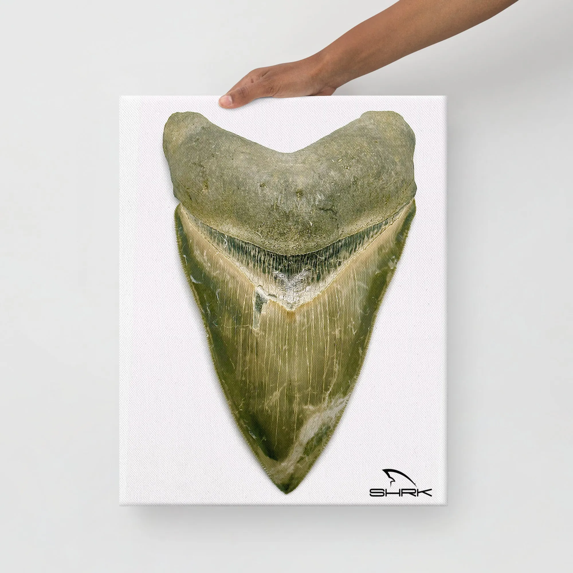 Green Lightning Megalodon Canvas Prints
