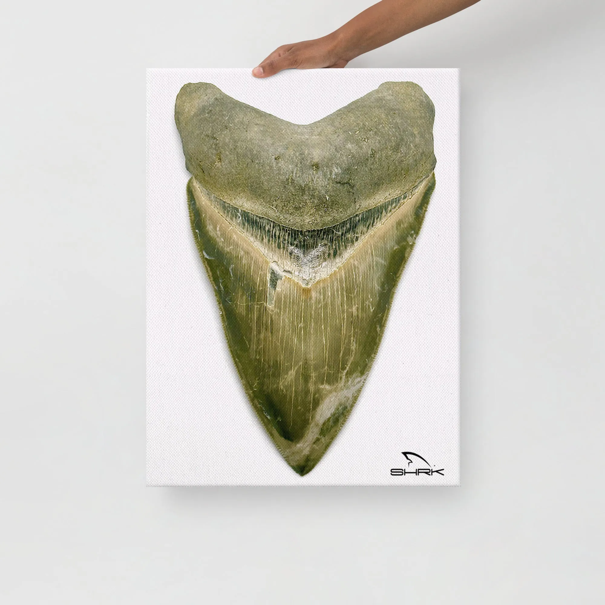Green Lightning Megalodon Canvas Prints