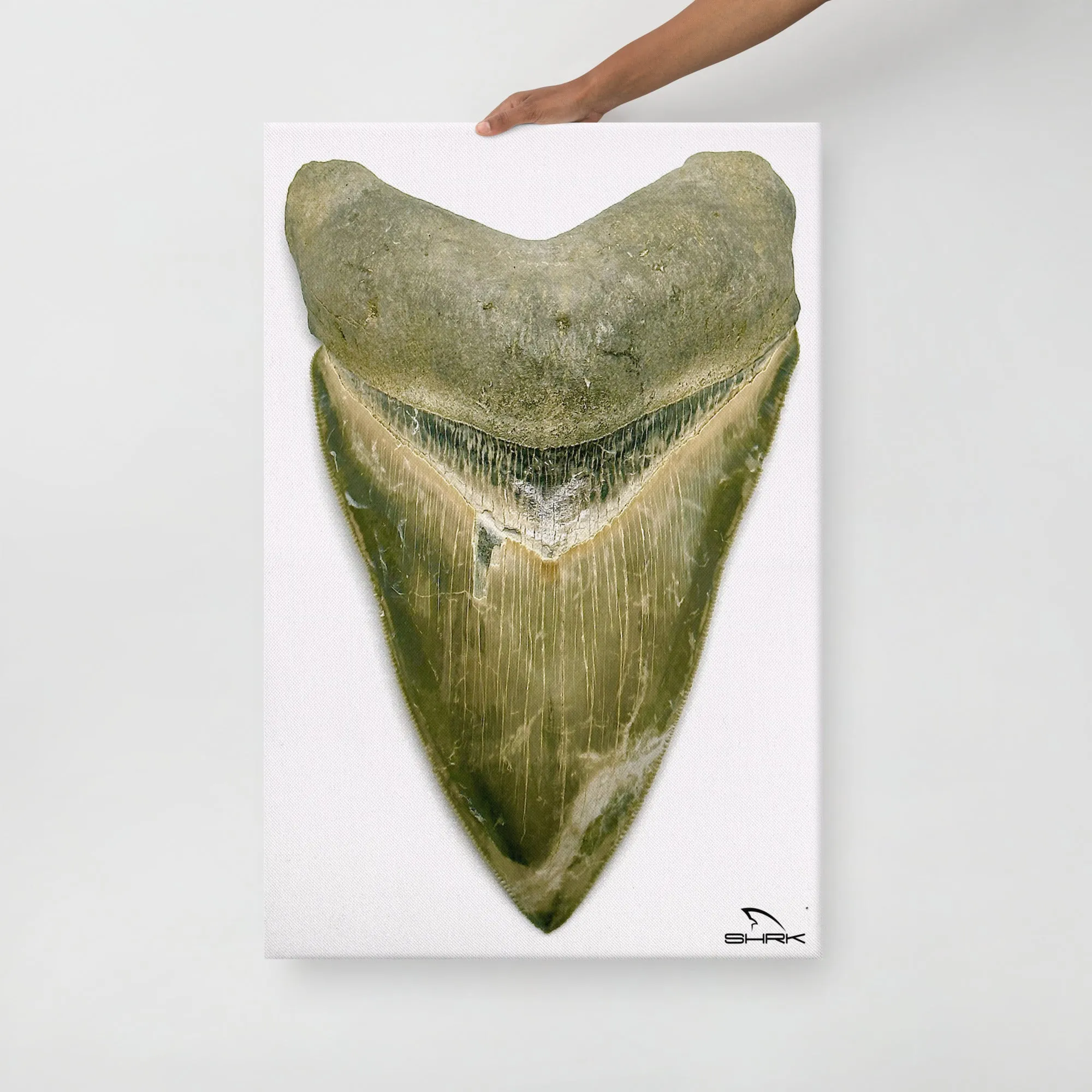 Green Lightning Megalodon Canvas Prints