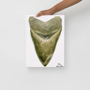 Green Lightning Megalodon Canvas Prints