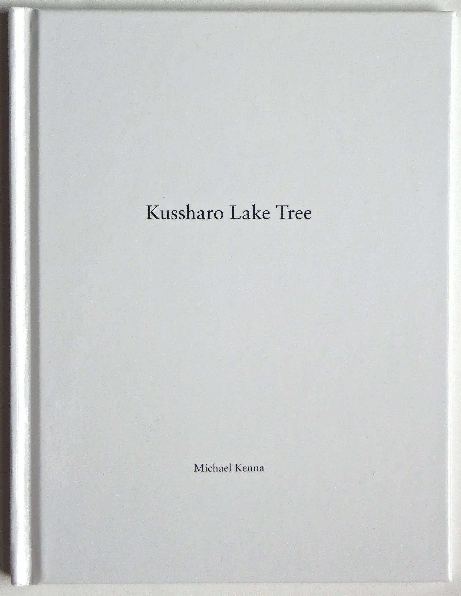 Kussharo Lake Tree by Michael Kenna