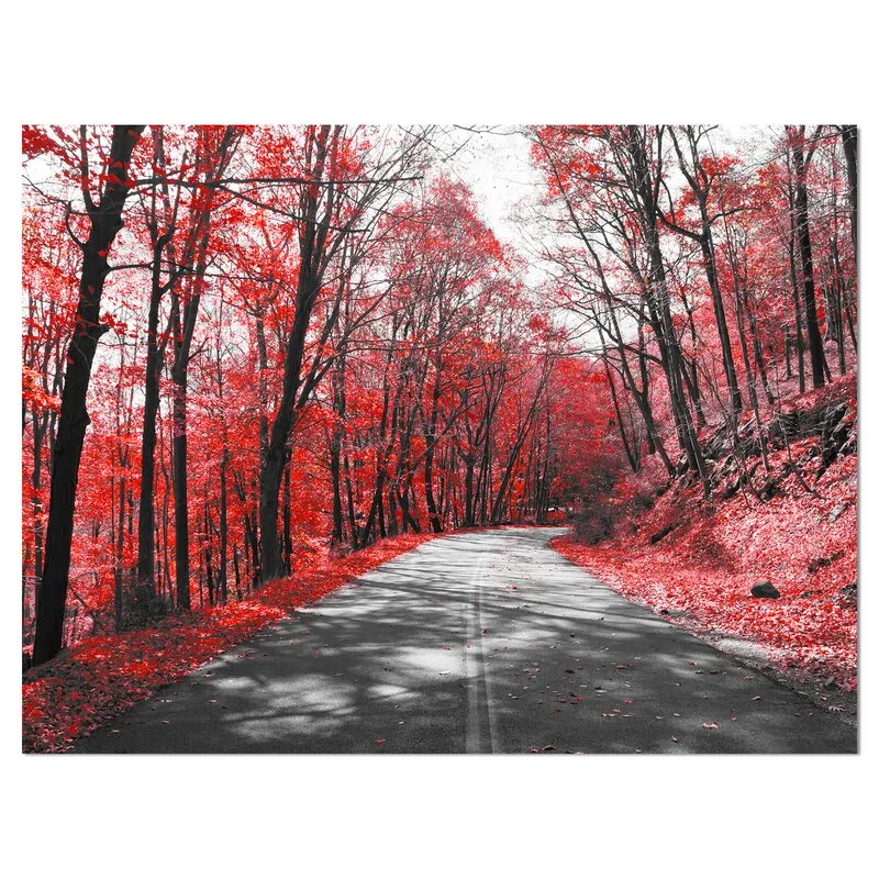 Landscapes Floral 'Patch in Red Forest' Photographic Print on Wrapped Canvas 12"H X 20"L Retails $49  on Sale!