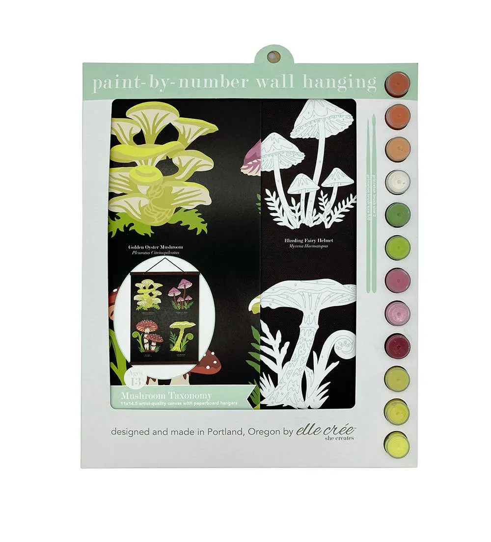 Mushroom Taxonomy Paint-by-Number Wall Hanging Kit