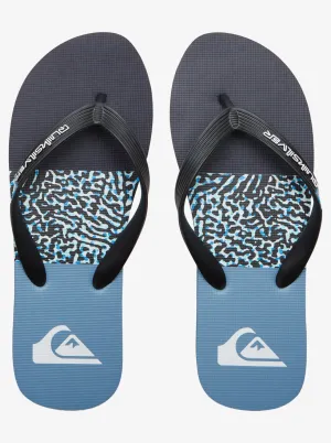 Quiksilver Molokai Stripe - Blue 1