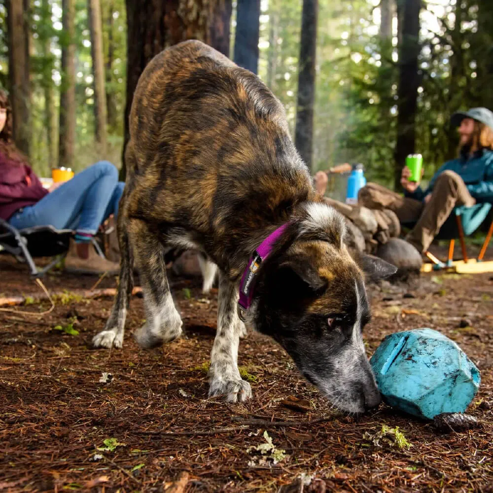 Ruffwear Gnawt-a-Rock™ Treat Dispenser & Toy