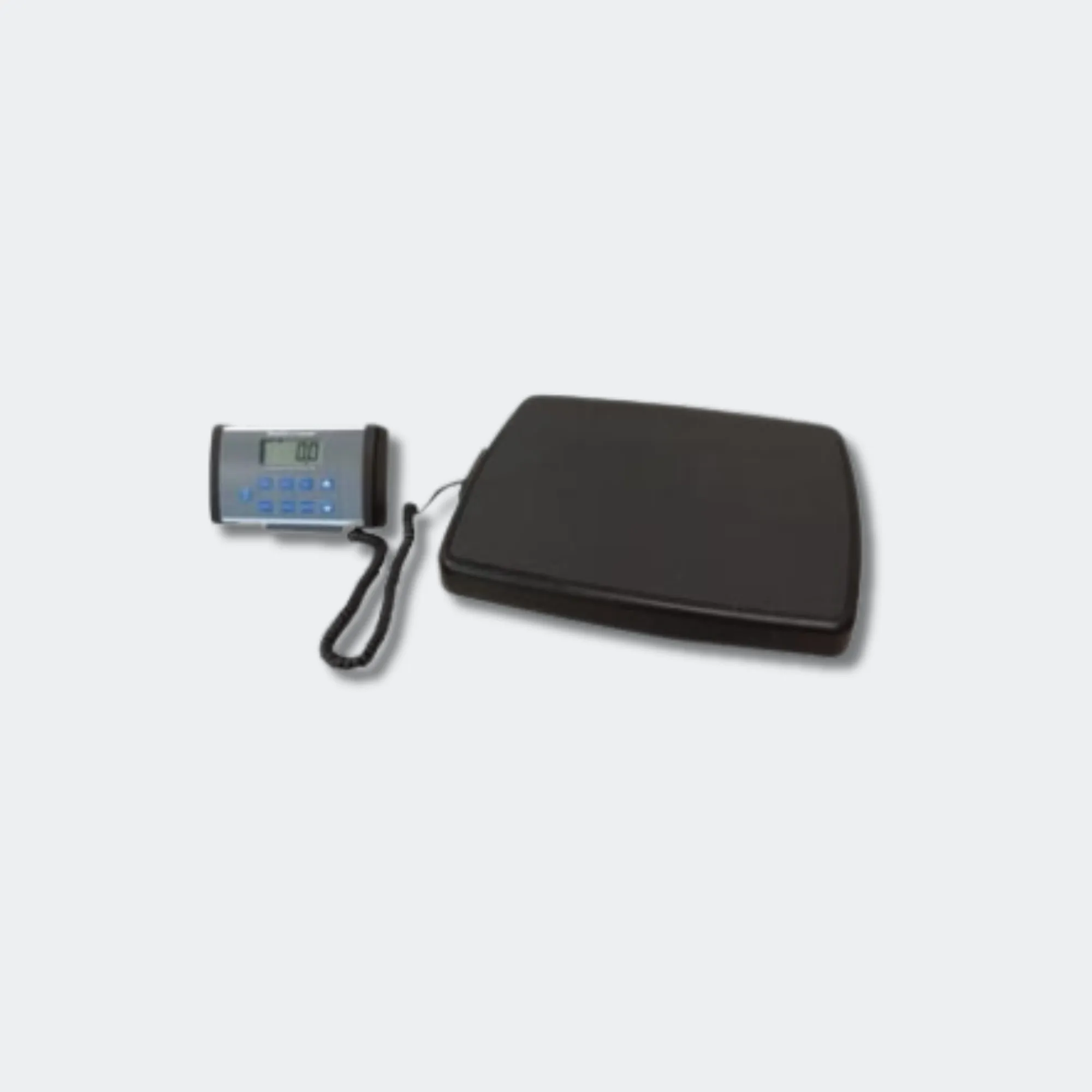 Scale Digital, Stand-On (1/EA)