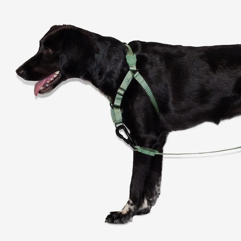 Soft-Walk Harness - Army Green