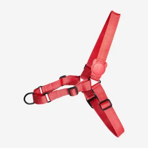 Soft-Walk Harness - Coral