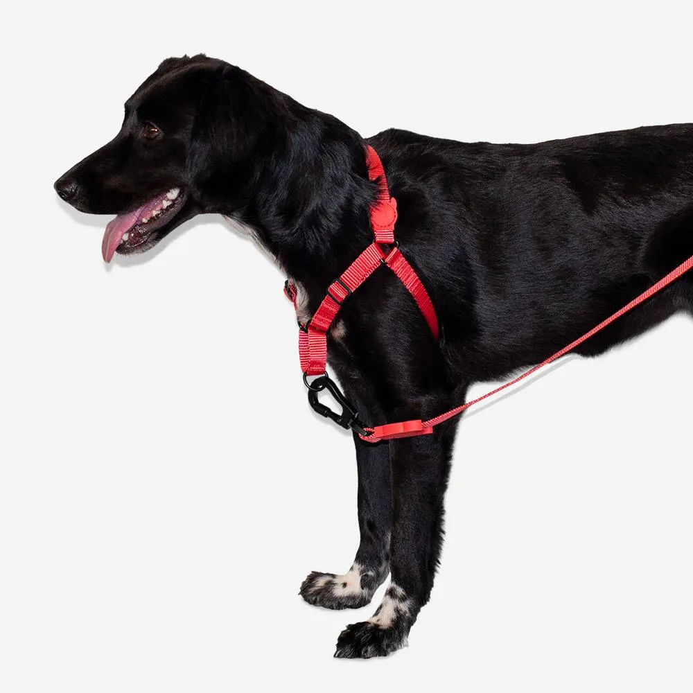 Soft-Walk Harness - Coral