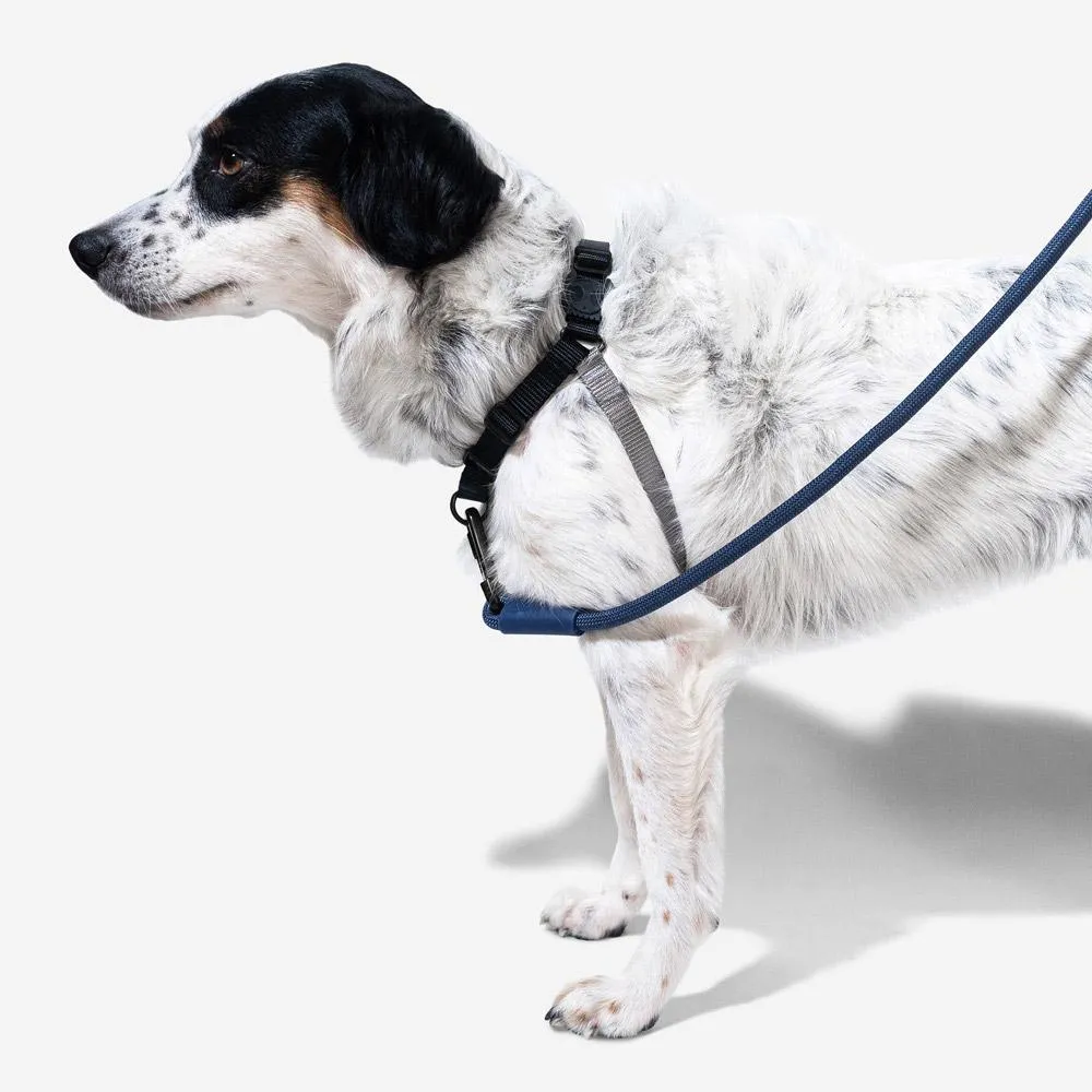 Soft-Walk Harness - Gotham