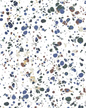 TERRAZZO WALLPAPER / JAWBREAKER